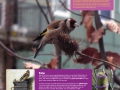 poster2