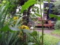 Verborgen tuinen Rotterdam 2015 - De tuin van Rob en Wiepkje